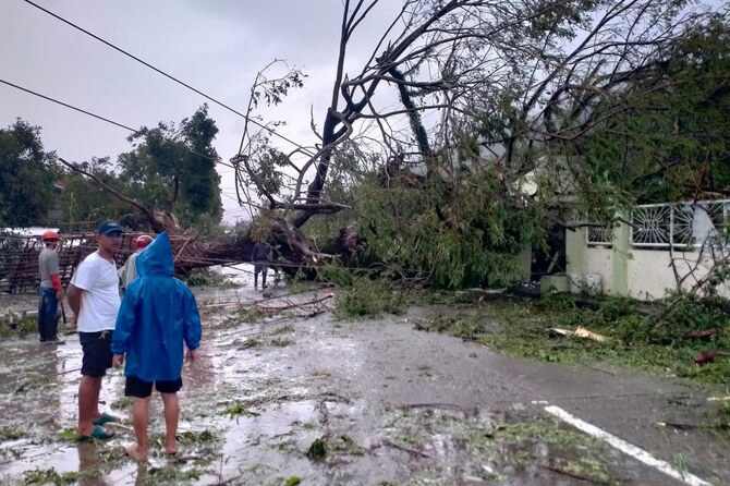 Super Typhoon Man-yi topples trees, power lines in the Philippines